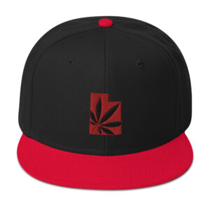 Tilted Leaf™ Utah (Cedar City) Embroidered Snapback Hat